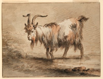 Dessin, Étude d