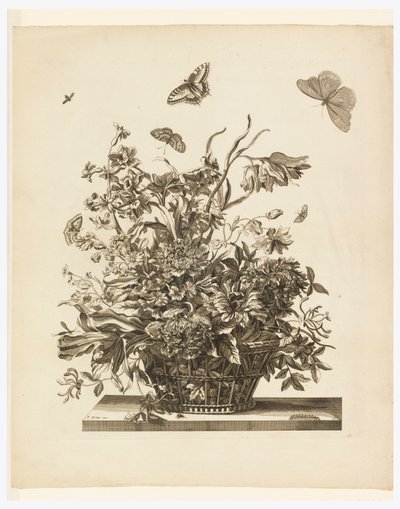 Planche 10, de la série Fleurs dans un panier - Jean Baptiste Monnoyer