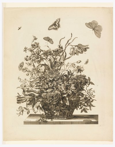 Planche 10, de la série Fleurs dans un Panier - Jean Baptiste Monnoyer