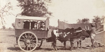 [Les jumeaux Campbell dans un Shigram, Camp du Gouverneur Général], 1858-61 - Jean Baptiste Oscar Mallitte
