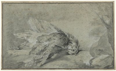 Bécasse morte (Scolopax rusticola) - Jean Baptiste Oudry