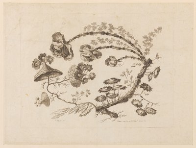 Branches fleuries, de "Recueil de Différentes Fleurs de Fantaisie Dans le Goût Chinois" - Jean Baptiste Pillement