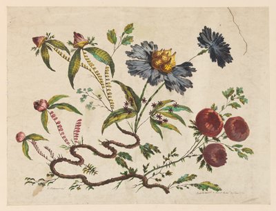 Brindilles de fleurs, de "Recueil de Différentes Fleurs de Fantaisie Dans le Goût Chinois" - Jean Baptiste Pillement