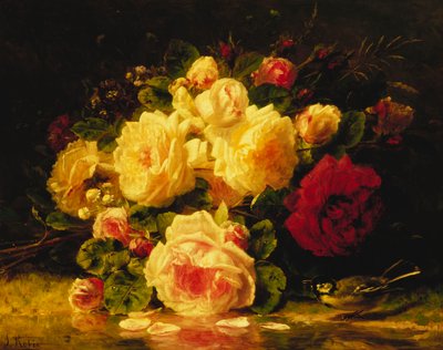Roses avec une Mésange Bleue près d
