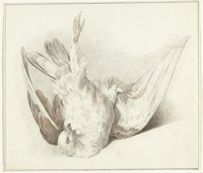 Pigeon mort - Jean Bernard