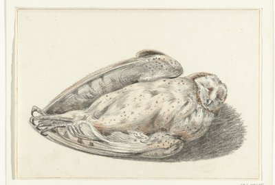 Hibou mort - Jean Bernard