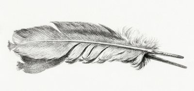 Plume - Jean Bernard