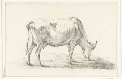 Vache broutant, vers la droite - Jean Bernard