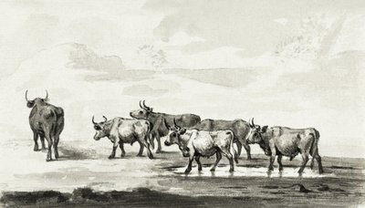 Groupe de six taureaux - Jean Bernard