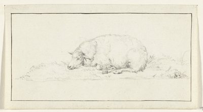 Mouton couché, vers la gauche - Jean Bernard