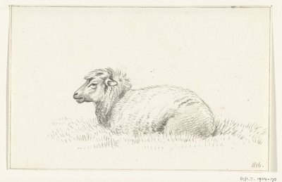 Mouton couché, vers la gauche - Jean Bernard