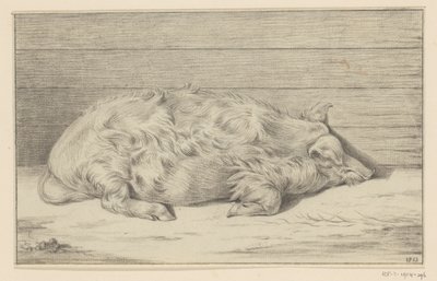 Cochon couché, vers la droite, contre un abri - Jean Bernard