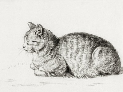 Le chat couché (1811) - Jean Bernard