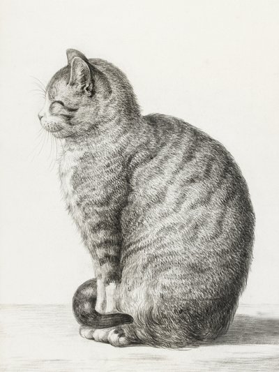 Chat assis (1815) - Jean Bernard