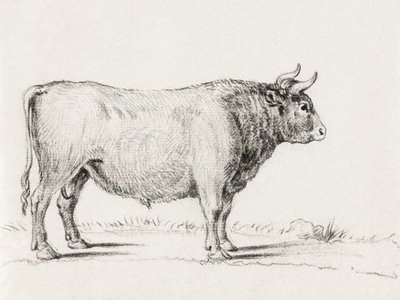 Standing Bull - Jean Bernard