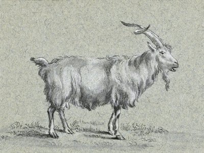 Chèvre debout, par Jean Bernard - Jean Bernard