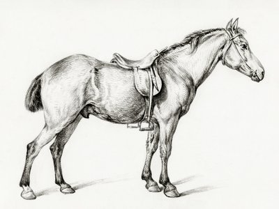 Cheval debout, de Jean Bernard (1775-1883) - Jean Bernard