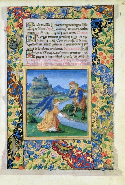 Ms Lat.Q.v.I.126 f.40 Tobie et l