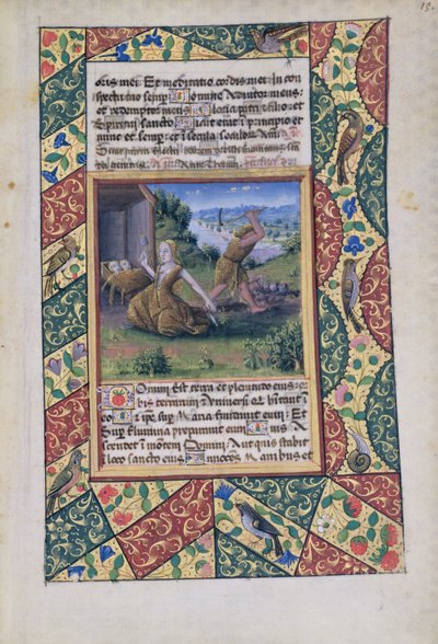 Ms Lat. Q.v.I.126 fol.15 Adam et Ève travaillant, du Livre d