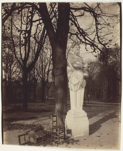 Versailles, Coin de Parc - Jean Eugène Auguste Atget