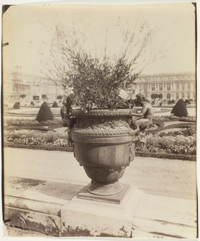 Versailles, Vase par Ballin - Jean Eugène Auguste Atget