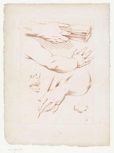 Composition avec bras, nez et partie d