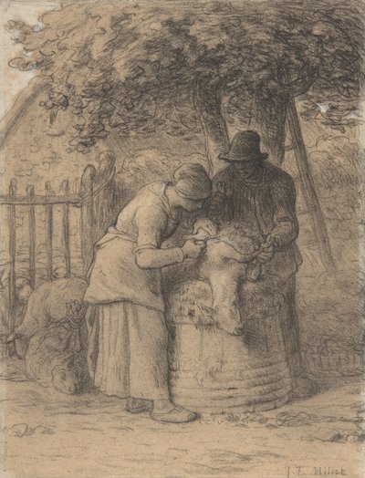 Tonte des moutons sous un arbre, c.1854 - Jean Francois Millet