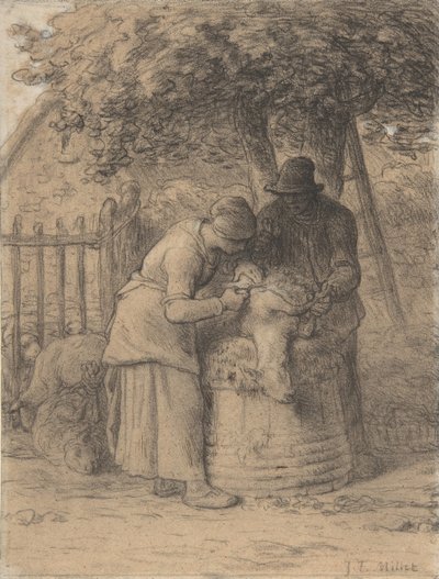 Tonte des Moutons sous un Arbre - Jean Francois Millet