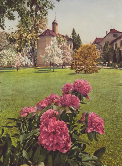 Suisse: Mammern sur le lac de Constance, dans les jardins du sanatorium - Jean Gaberell