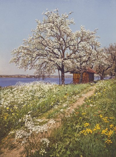 Suisse : Temps de mai - Jean Gaberell