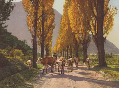 Suisse : La vallée du Rhône près de Visp - Jean Gaberell