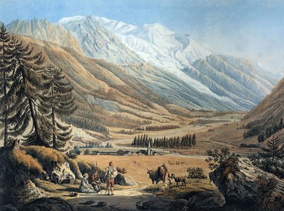 vue de la vallée de Chamonix, depuis le village d