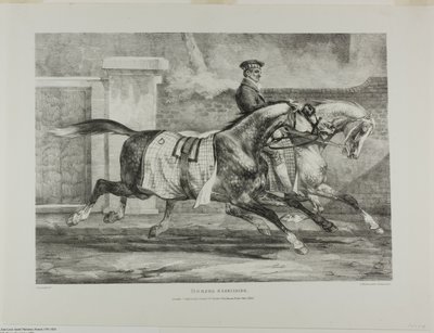 Chevaux à l