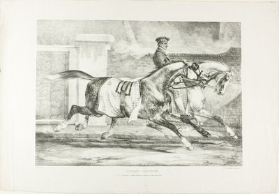 Chevaux à l