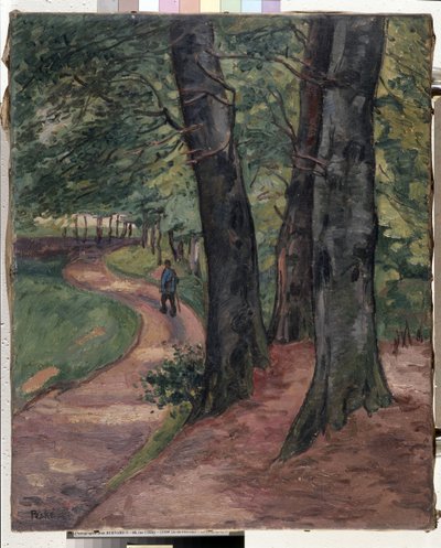 Le bord de la forêt d