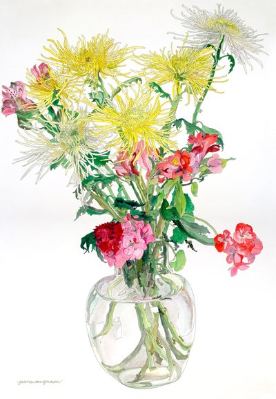 Spider Mums - Jean Swan Gordon