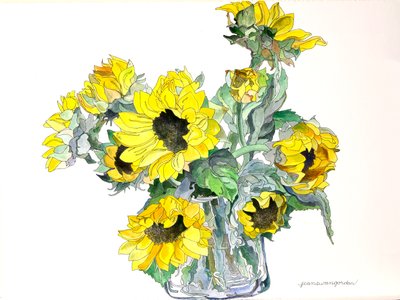 Tournesols, 2002 (aquarelle et encre sur papier) - Jean Swan Gordon