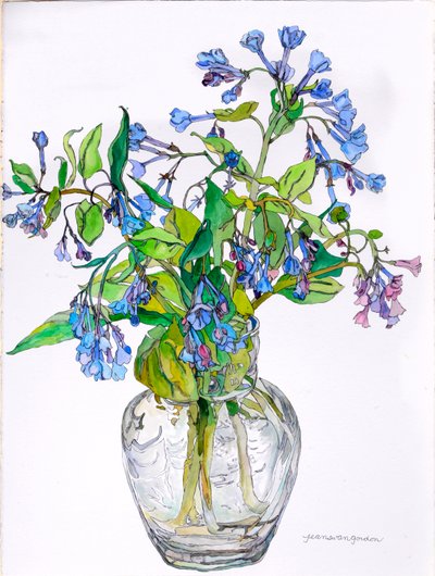Cloches bleues de Virginie dans un vase à col étroit, 2006 (aquarelle et encre sur papier) - Jean Swan Gordon