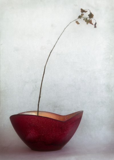  - Jeffrey Hummel