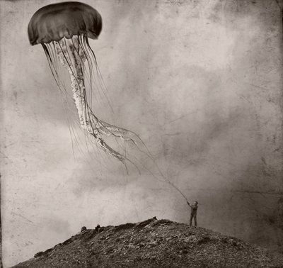  - Jeffrey Hummel