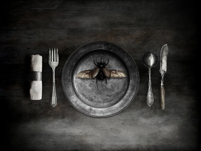 Un repas à base de coléoptères qui dérange - Jeffrey Hummel