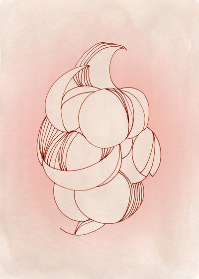 Formes délicates de pétales - Jenja Braun