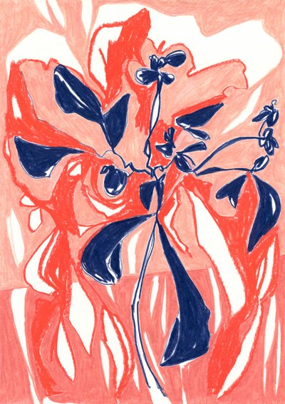 Plantes coralliennes aux couleurs vives - Jenja Braun
