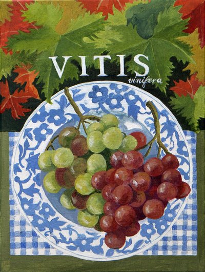 Vitus (raisins), 2014 (acrylique sur toile) - Jennifer Abbott
