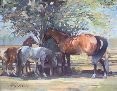 Chevaux - Mouches d