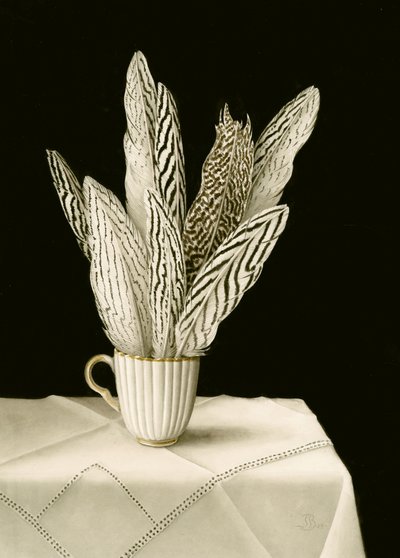Tasse de plumes - Jenny Barron