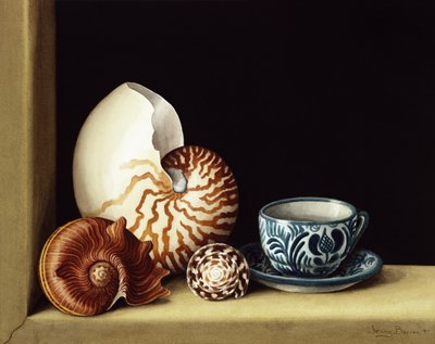 Nature morte avec nautile - Jenny Barron