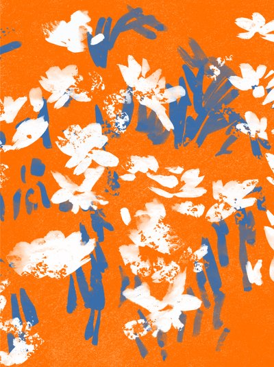 Prairie mandarine - Jenny Frean