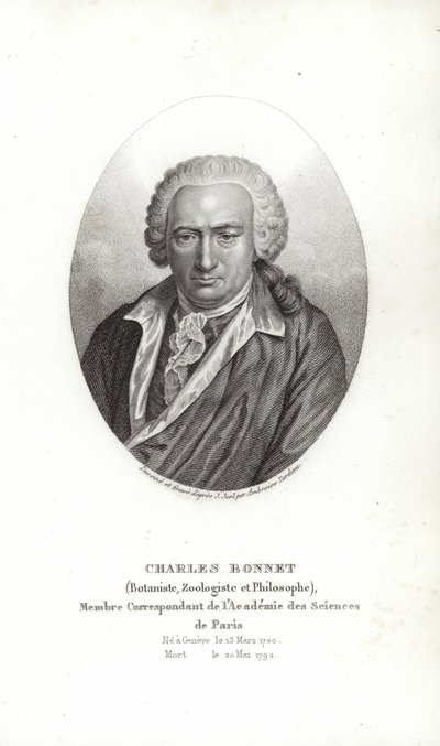 Charles Bonnet - Jens Juel