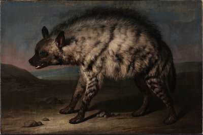 La hyène dans la ménagerie au château de Frederiksberg - Jens Juel